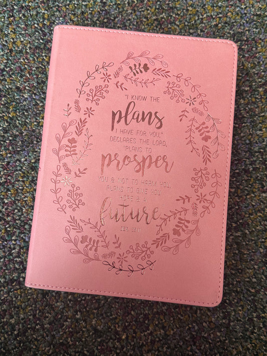Bible Journal